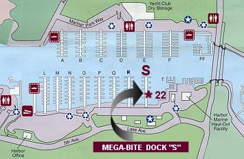 sdockmap