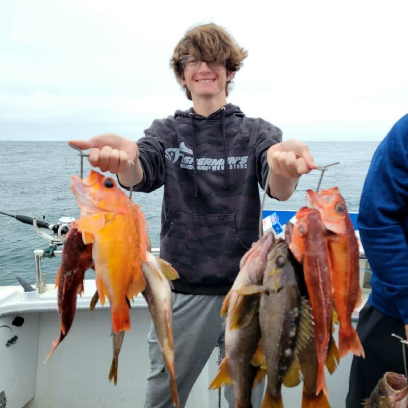 RemasterDirector_18da6b0cf