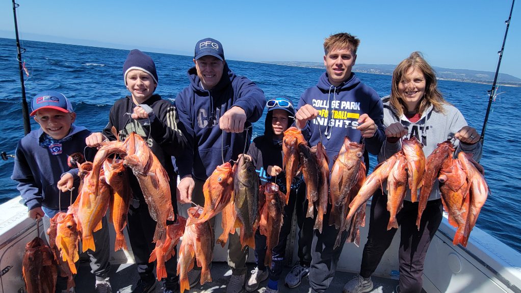 74553.jpeg