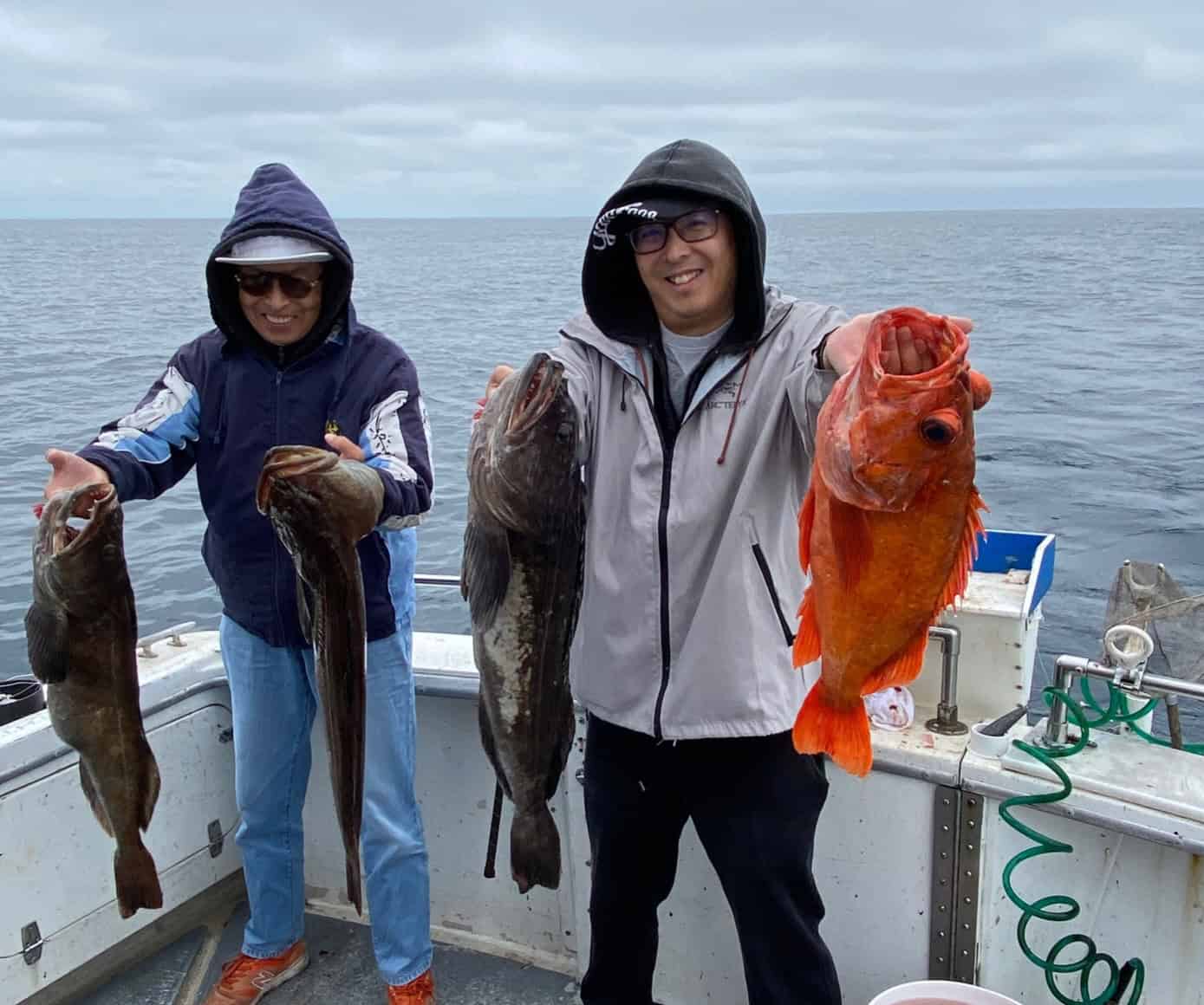 Fishing trip with salmon and rockfish